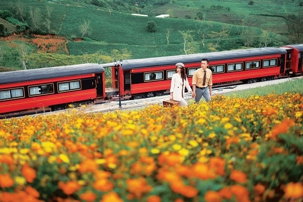 Đoàn tàu đỏ 'lạc' giữa đồng hoa Đà Lạt, du khách check-in như cảnh phim ở Châu Âu