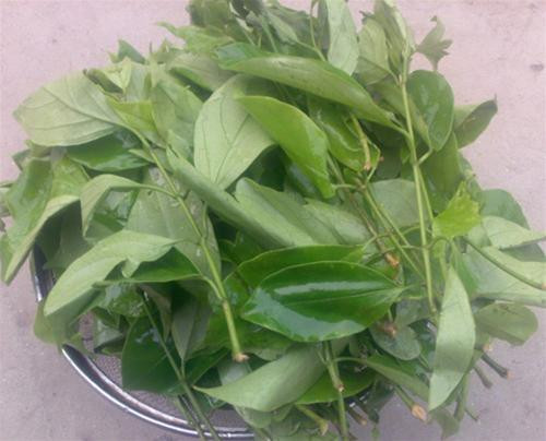 4 loai rau dat hon thit co tien chua chac mua duoc-Hinh-7