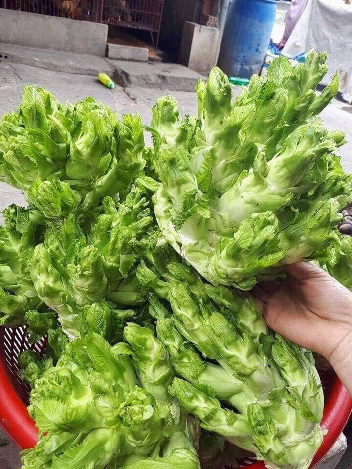 4 loai rau dat hon thit co tien chua chac mua duoc-Hinh-8