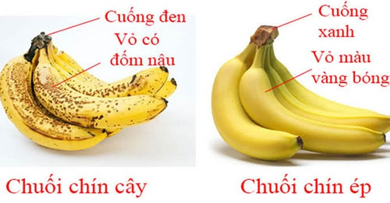 Chọn chuối muốn biết chín tự nhiên hay chứa hóa chất: Điểm này rõ nhất