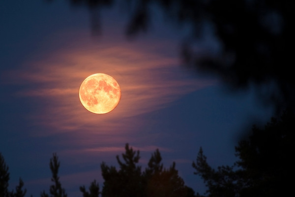 Hơn 392.600 Mặt Trăng Bầu Trời Hình Minh Họa ảnh, hình chụp & hình ảnh trả  phí bản quyền một lần sẵn có - iStock