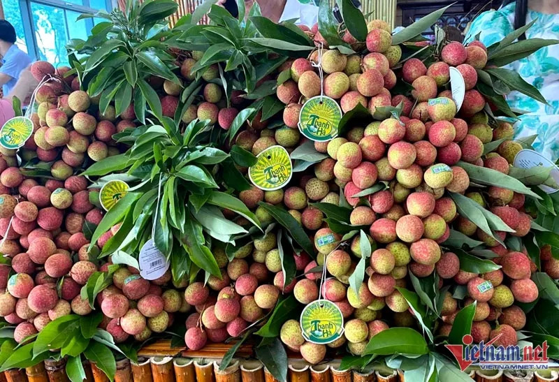 Đắt nhất 650.000 đồng/kg: giật mình giá vải thiều Việt Nam ở nước ngoài