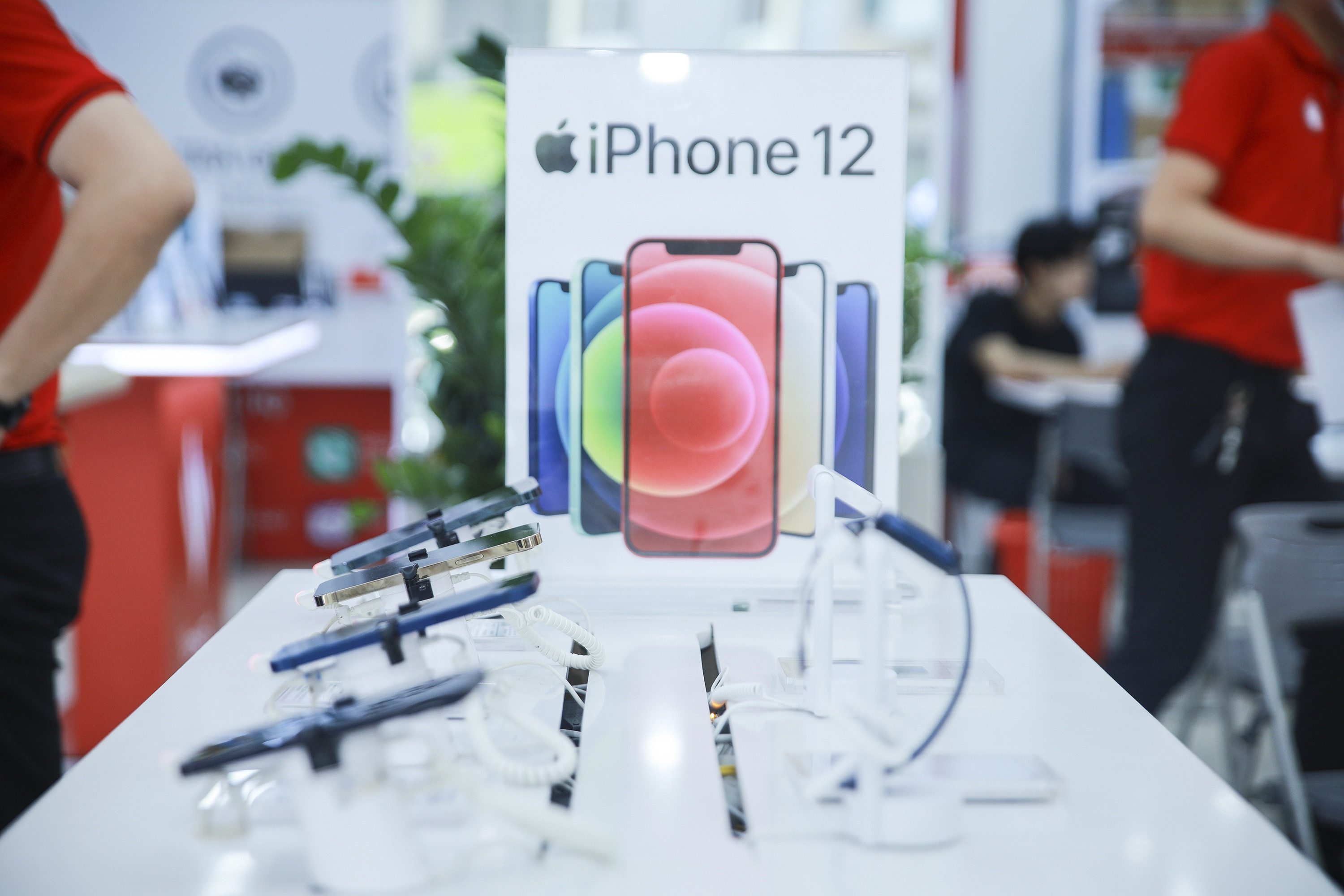 iPhone đời cũ liên tục giảm giá tại Việt Nam - 2