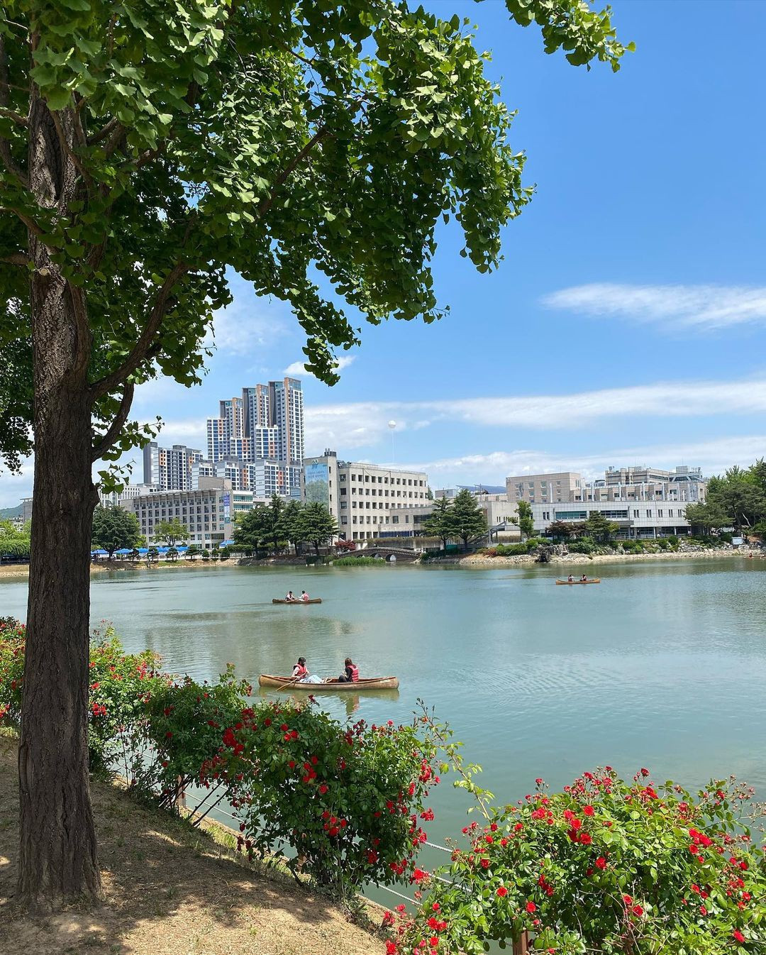 truong dai hoc Han Quoc anh 2