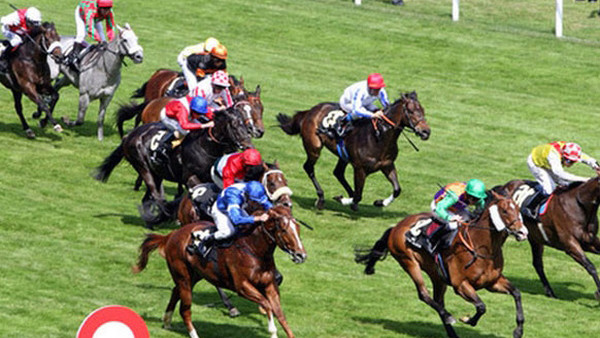 Chính phủ đồng ý bổ sung trường đua ngựa vào quy hoạch Hà Nội