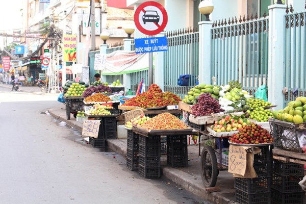 Hướng đi lâu dài cho nông dân ĐBSCL 'nhẹ gánh' nỗi lo mùa cây đơm trái