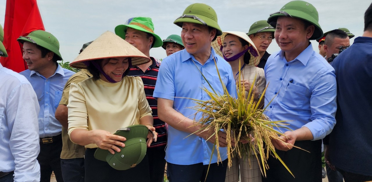 Nông dân Hải Dương nghỉ việc kéo nhau đi xem hội lúa rươi hữu cơ