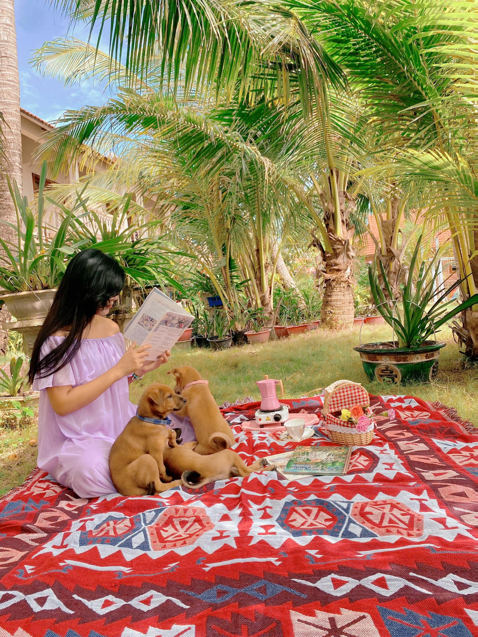 Bỏ Hà Nội vào Phú Quốc sống để con trai được đón bình minh bên đàn chó - 4