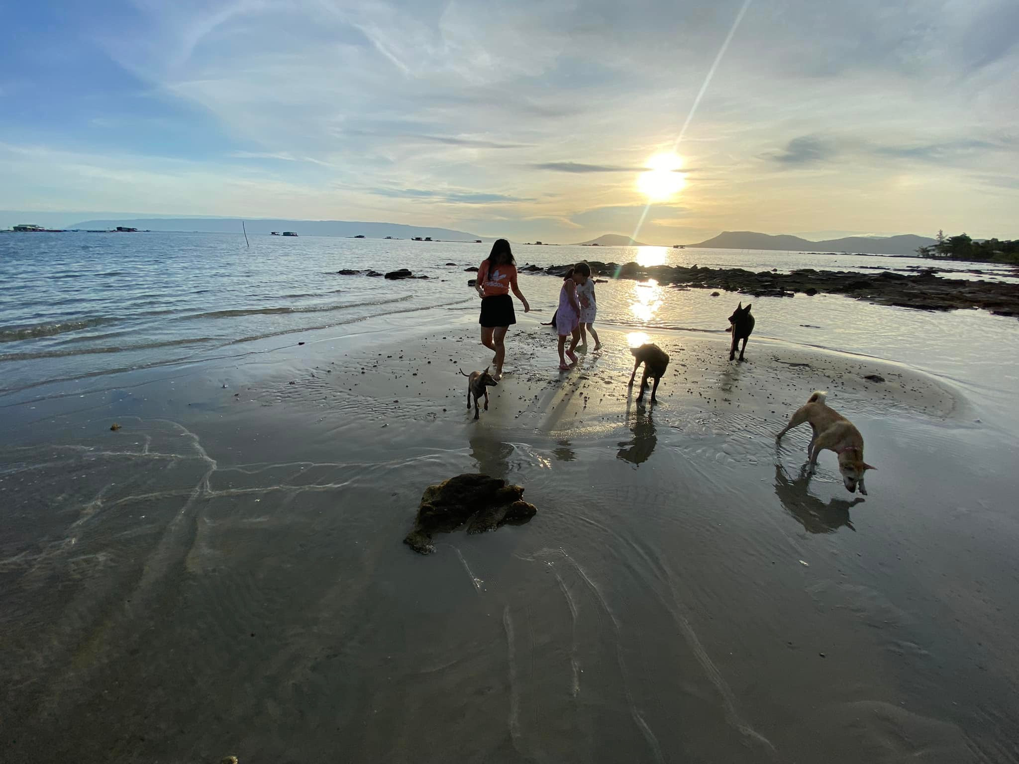 Bỏ Hà Nội vào Phú Quốc sống để con trai được đón bình minh bên đàn chó - 1