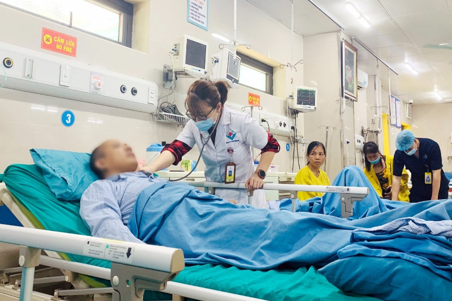 Hôn mê, tím tái chỉ sau vài phút bị ong vàng đốt