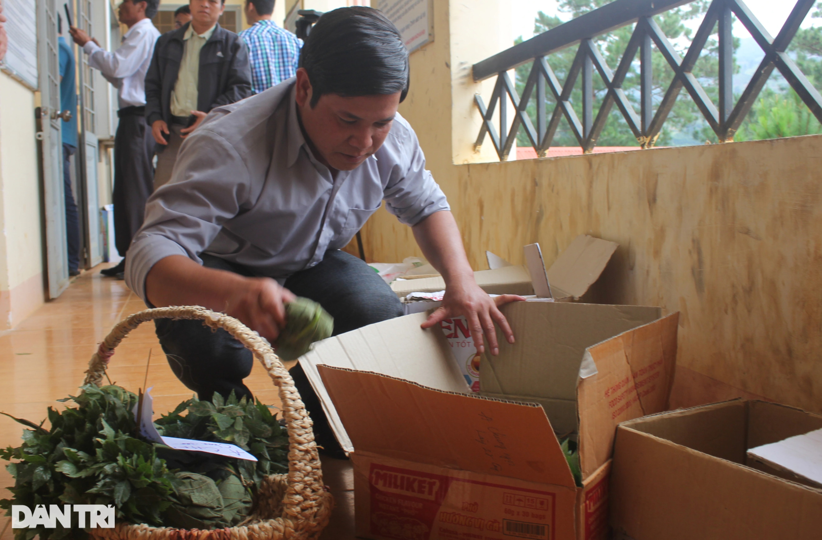 Ôm mộng với quốc bảo sâm Ngọc Linh, người dân thành ôm nợ khóc ròng - 3