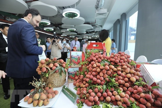 Vietnamese lychees aim to go global hinh anh 1