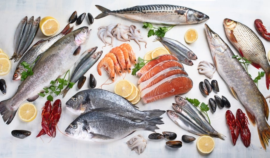 Có nên ăn cá khi bị vết thương hở?