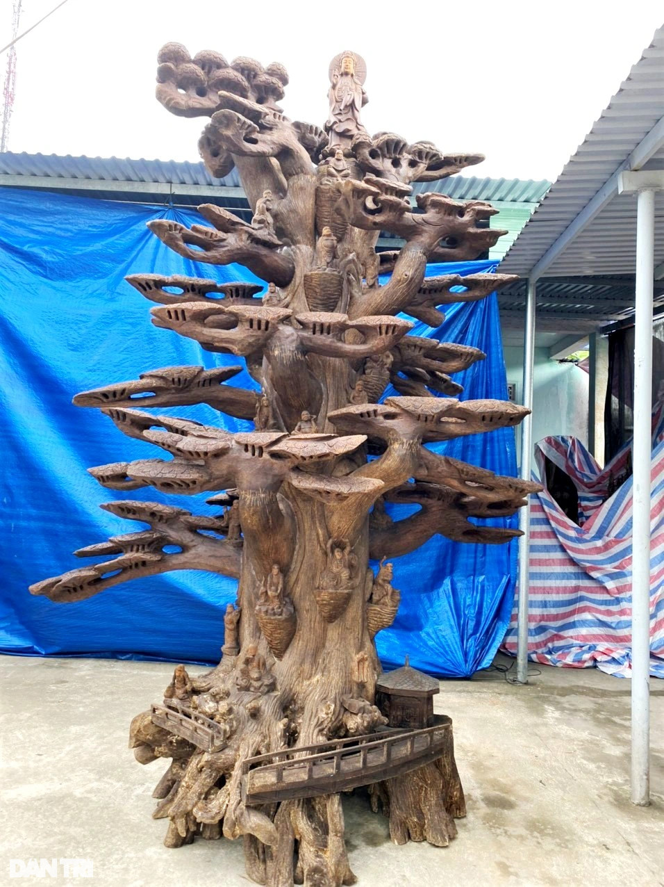 Làng tìm vàng trong thân cây, đổi đời nhờ tỉ mẩn đục đẽo - 8