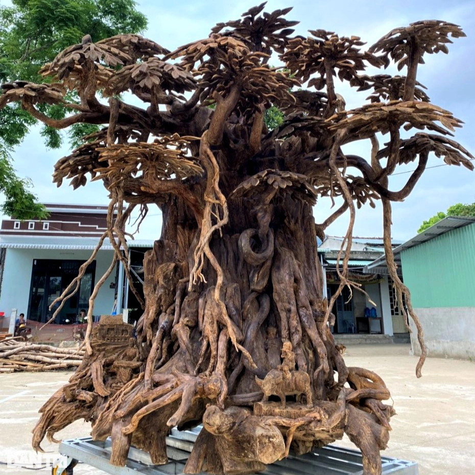 Làng tìm vàng trong thân cây, đổi đời nhờ tỉ mẩn đục đẽo - 5