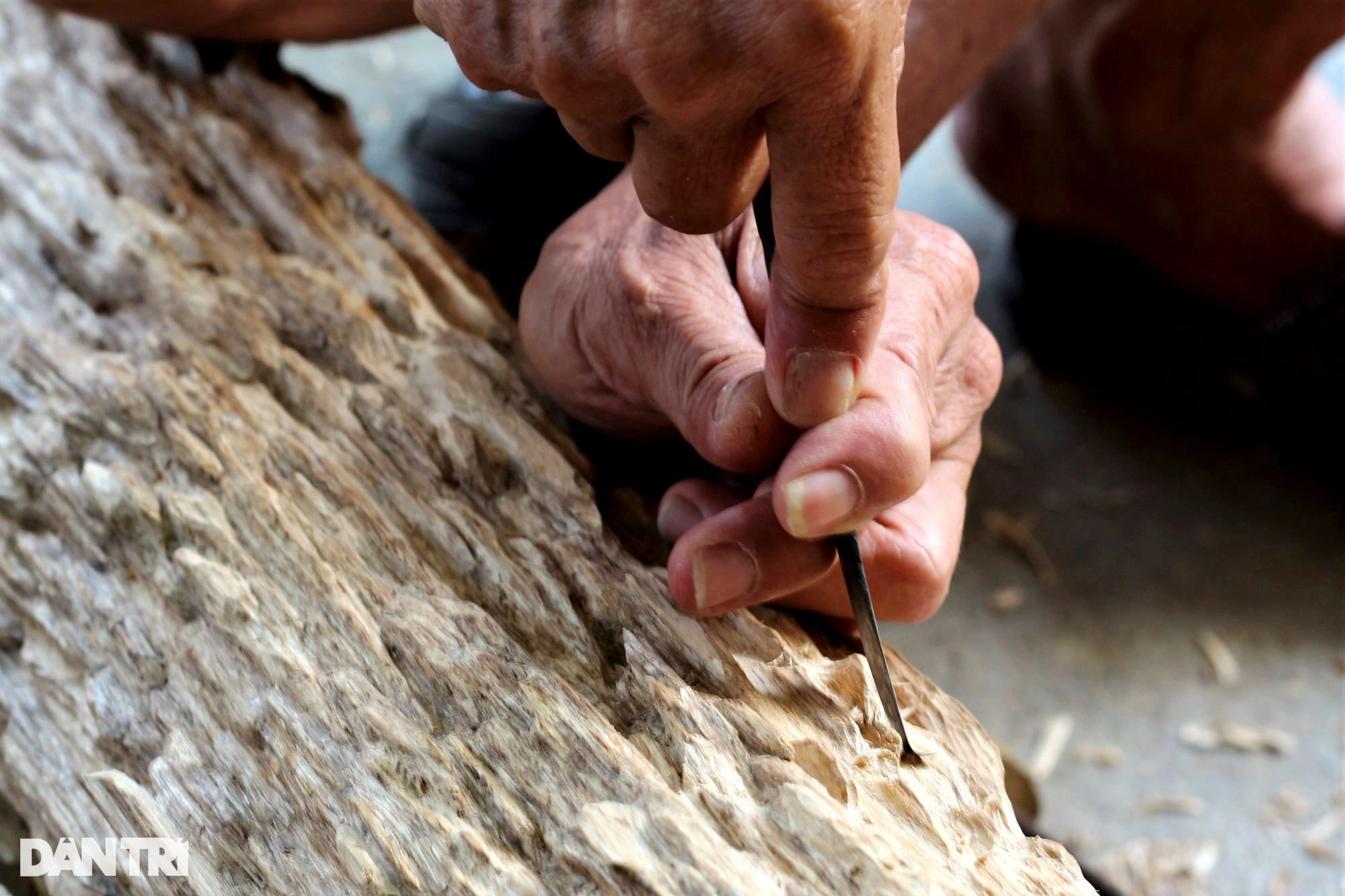 Làng tìm vàng trong thân cây, đổi đời nhờ tỉ mẩn đục đẽo - 2