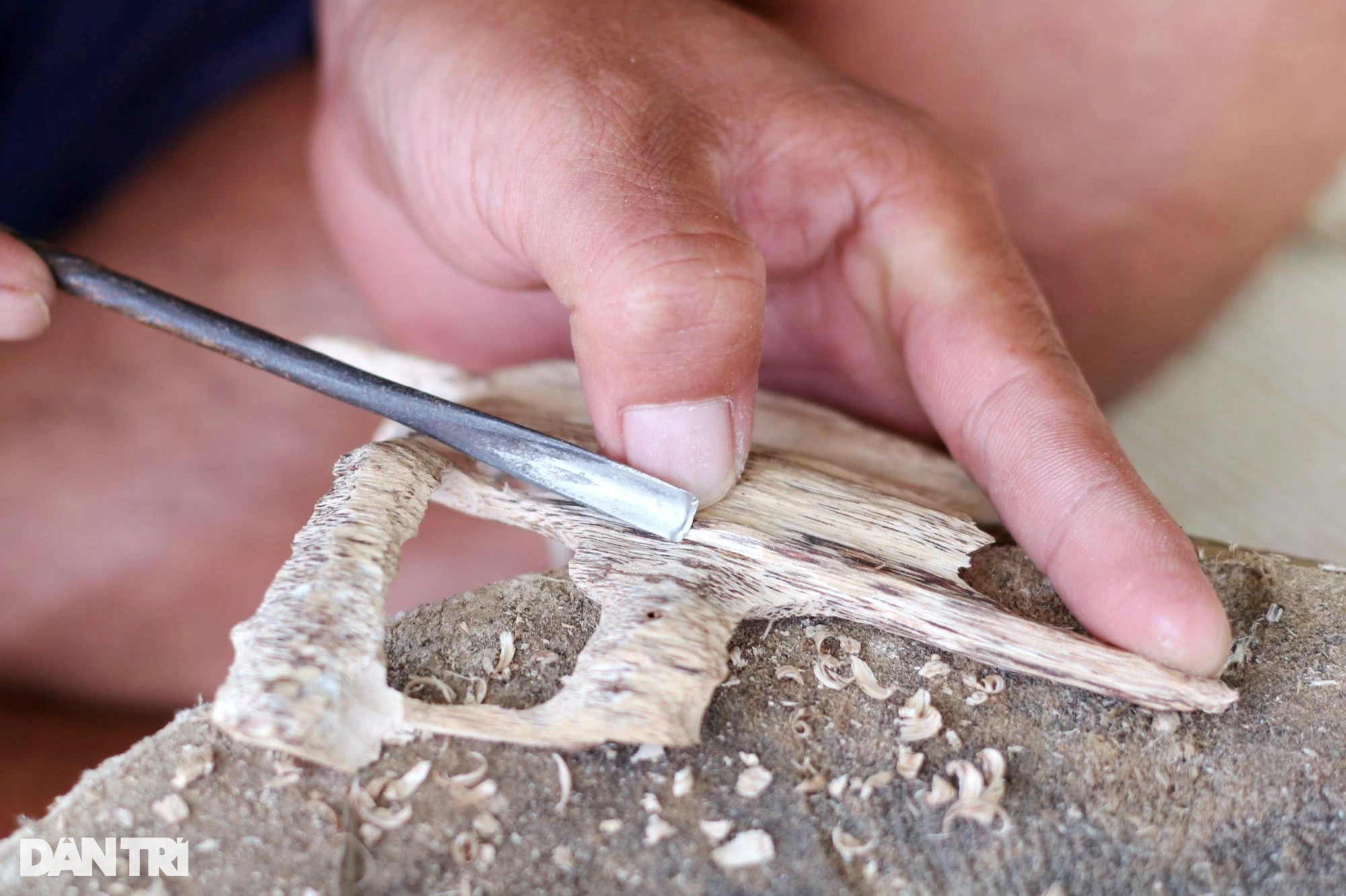 Làng tìm vàng trong thân cây, đổi đời nhờ tỉ mẩn đục đẽo - 4