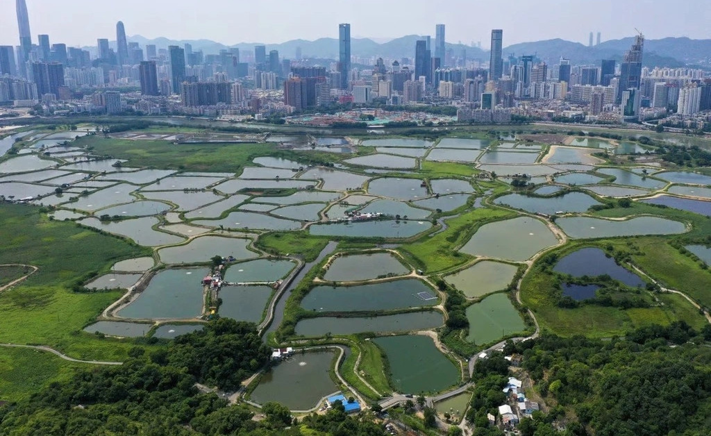 為什麼香港被深圳赶超？