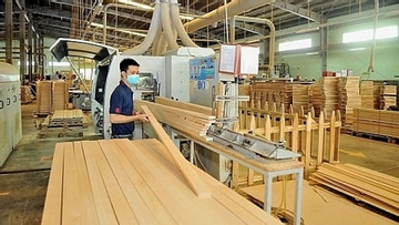 Vietnam, Malaysia sign cooperation document on timber business