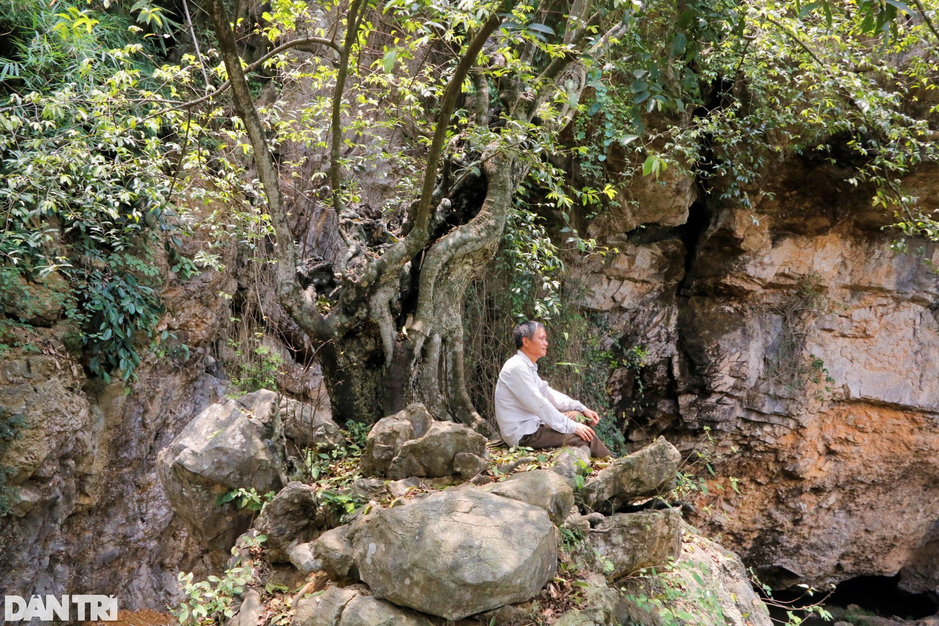 Chiêm ngưỡng cây thị nghìn tuổi ngự trên khối đá trăm triệu năm - 6