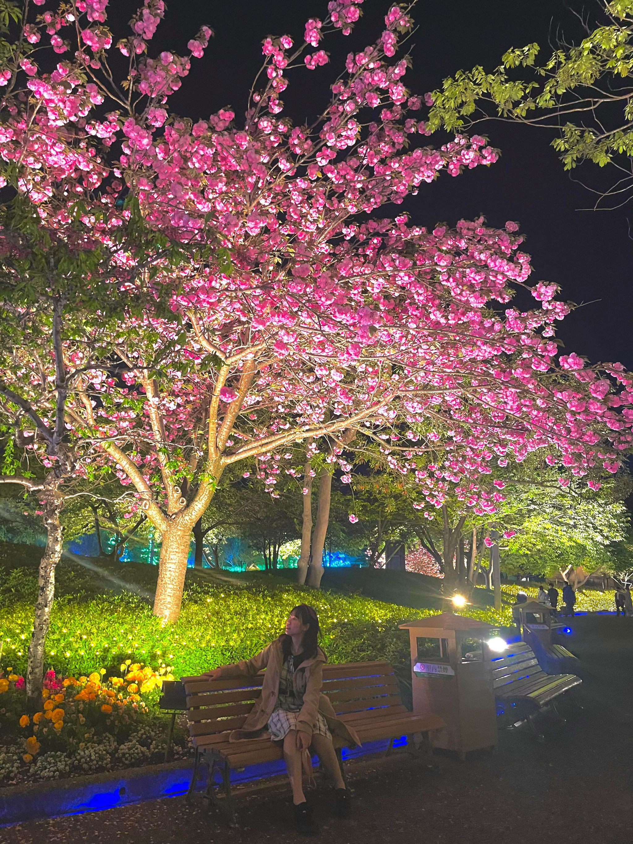 lam phat o Nhat Ban anh 3