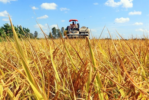 PM issues action plan on Mekong Delta development