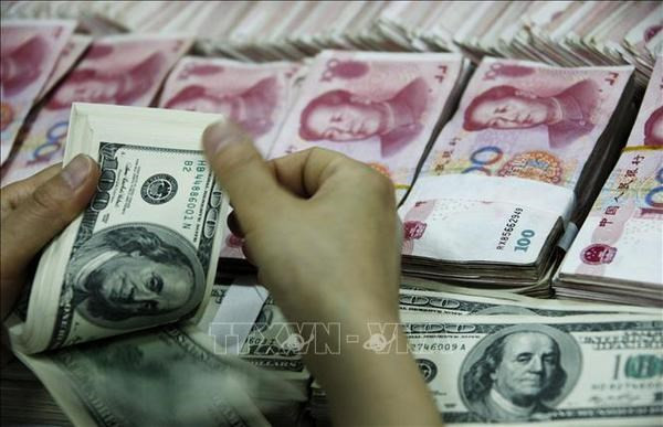 Central bank stands ready to pump more foreign currencies to market: official hinh anh 1