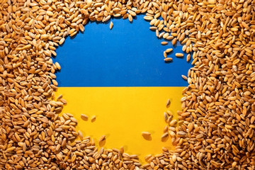 Hơn 20 triệu tấn ngũ cốc mắc kẹt ở Ukraine, thế giới đối mặt với hậu quả khôn lường