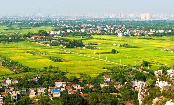 Kinh doanh: Nông nghiệp phát triển nhanh, bền vững, nông dân - nông thôn văn minh
