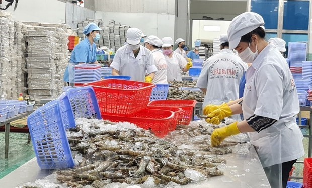 Efforts made to boost seafood cooperation between Vietnam, India hinh anh 1