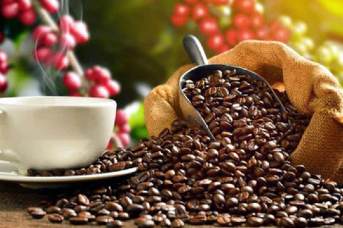 us increases coffee imports from vietnamese market picture 1