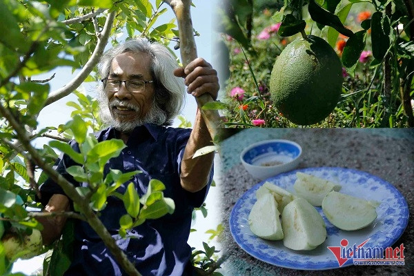 Ông lão có khu vườn nổi tiếng: Muốn chỉ bí quyết cho người yêu cây