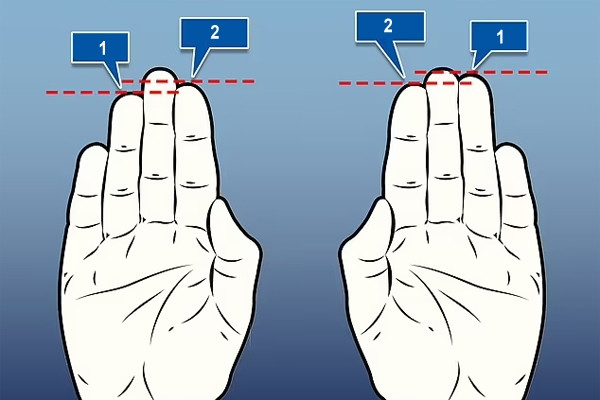 Mối liên hệ giữa chiều dài ngón tay và tuổi thọ