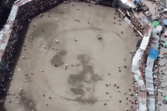Khoảnh khắc sập trường đấu bò khiến hơn 70 người thương vong ở Colombia