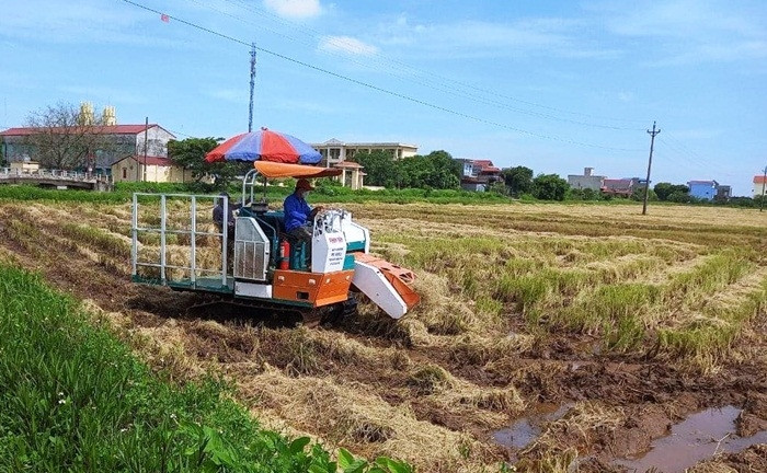 Nam Định: Phấn đấu đến 2025 hơn 50% số xã, thị trấn đạt chuẩn nông thôn mới nâng cao