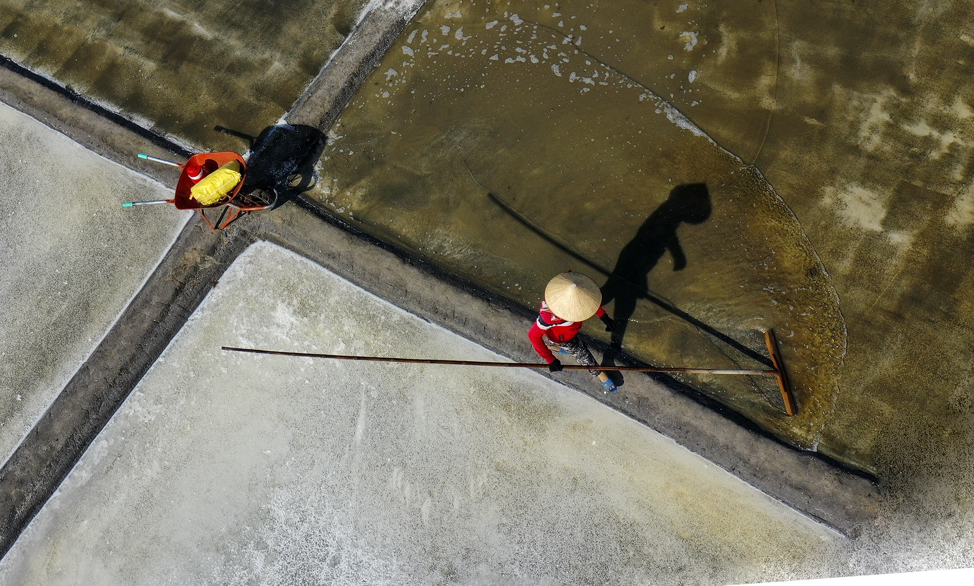 Gia muoi Sa Huynh tang cao anh 2