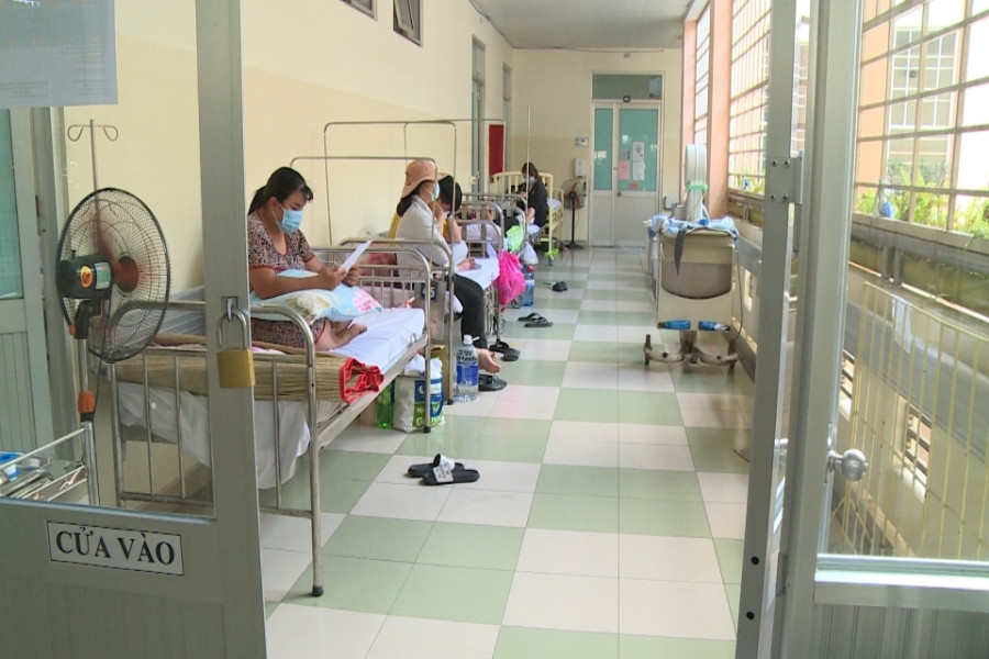 Nhiều ca sốt xuất huyết nguy kịch vì thiếu dịch truyền, Việt Nam lên kế hoạch sản xuất