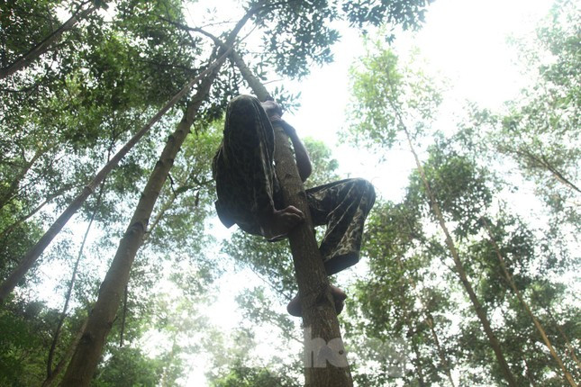 Kiếm tiền triệu mỗi ngày nhờ nghề săn trứng kiến ở Bắc Giang ảnh 4