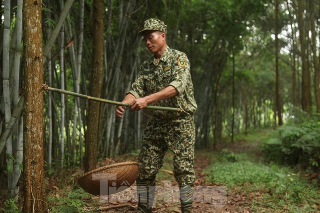 Kiếm tiền triệu mỗi ngày nhờ nghề săn trứng kiến ở Bắc Giang ảnh 3