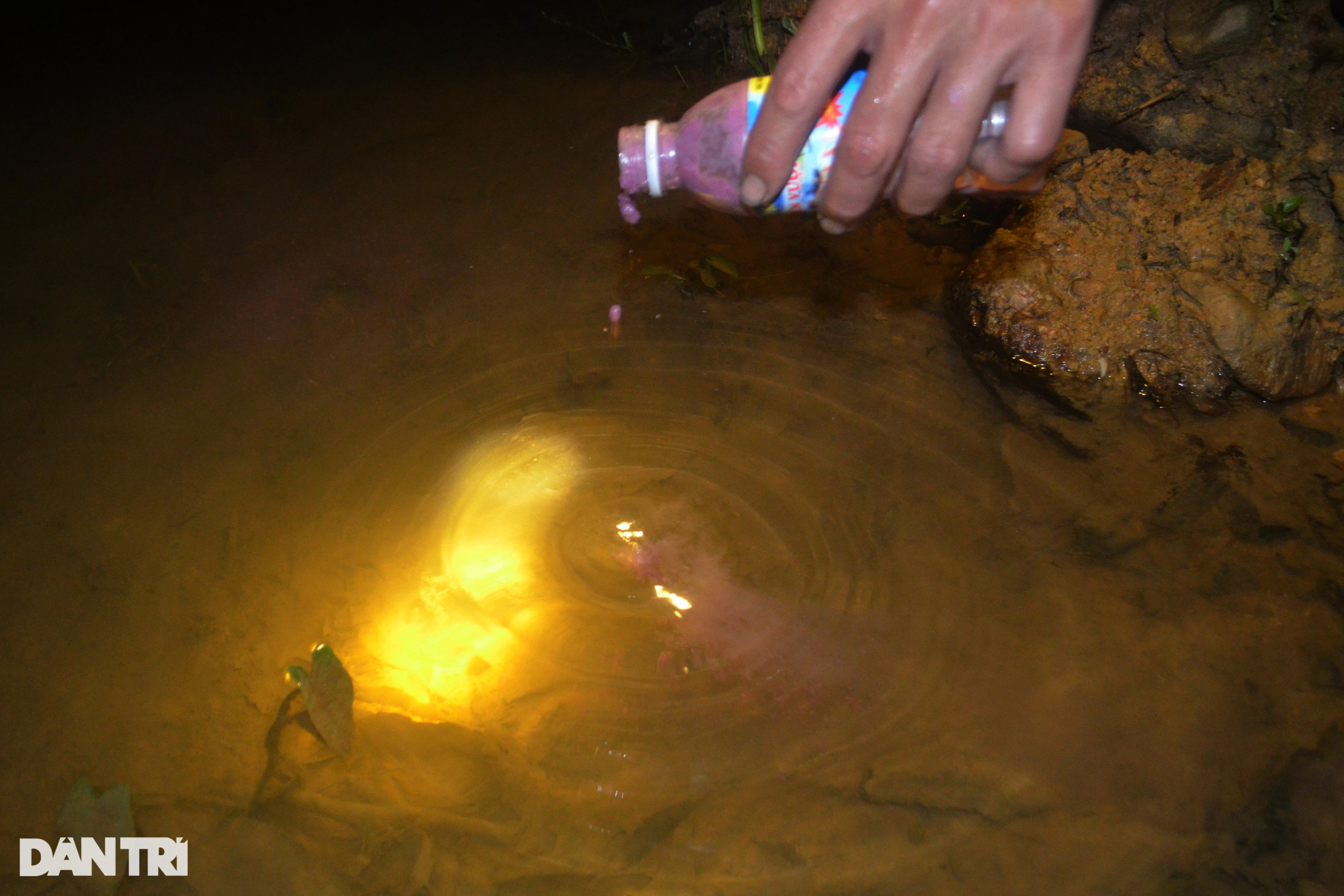 Độc chiêu của thợ săn cua đá - 4