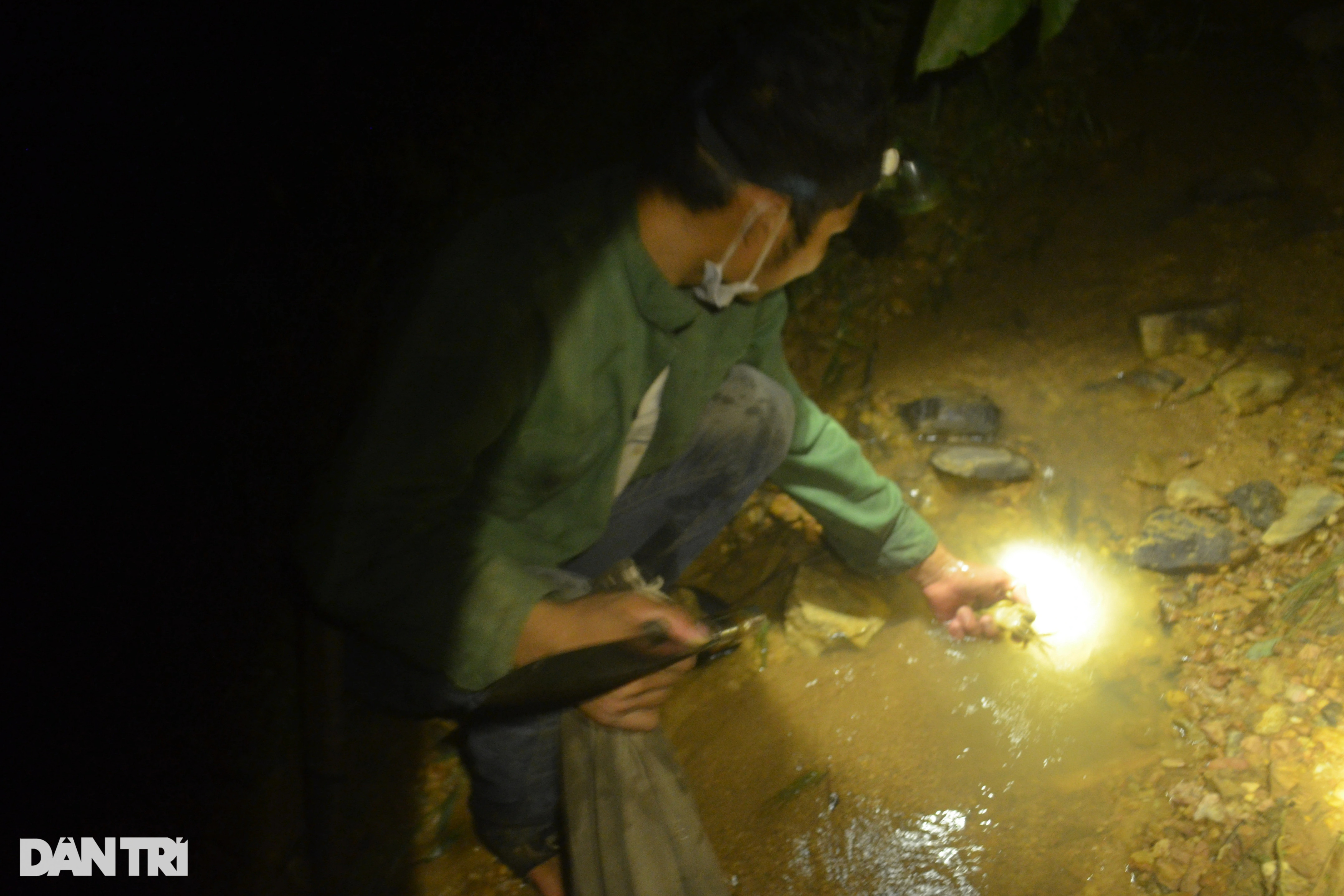 Độc chiêu của thợ săn cua đá - 5