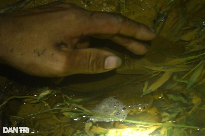 Độc chiêu của thợ săn cua đá - 10