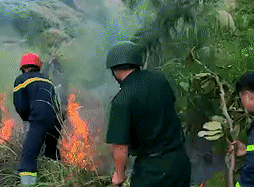 Ngồi nhậu vứt tàn thuốc ở chân núi Sơn Trà, bao lực lượng vất vả dập lửa