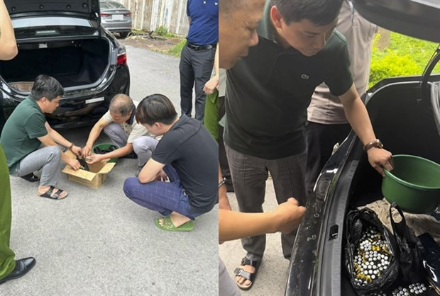 Hanoi police seize biggest bear bile haul hinh anh 1