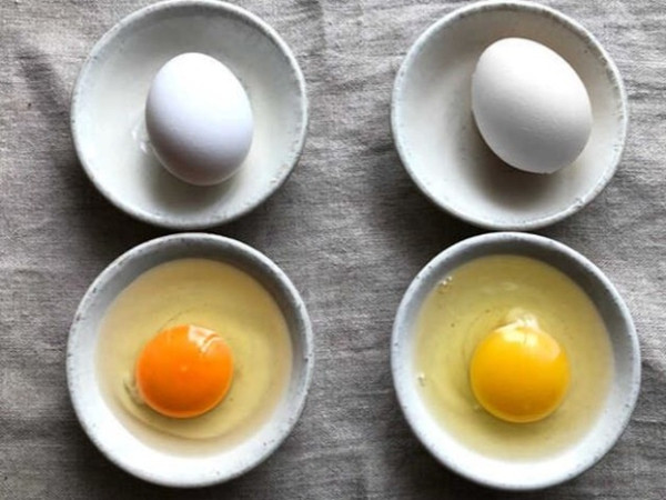 Mẹo đi chợ: Trứng gà có lòng đỏ đậm hay nhạt thì bổ dưỡng hơn?