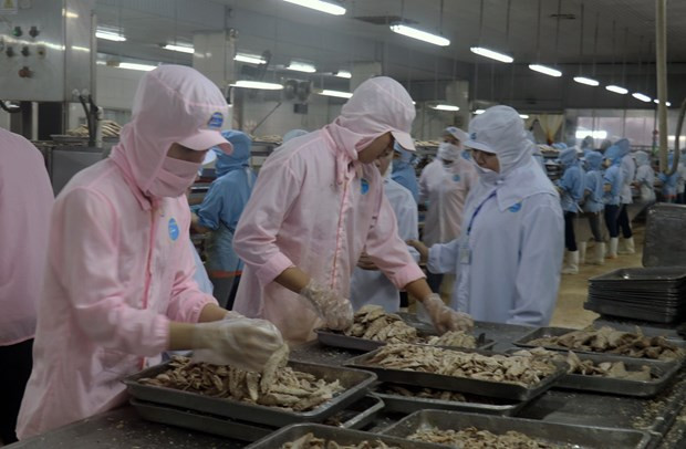 Kien Giang posts 7-percent increase in five-month export revenue hinh anh 1