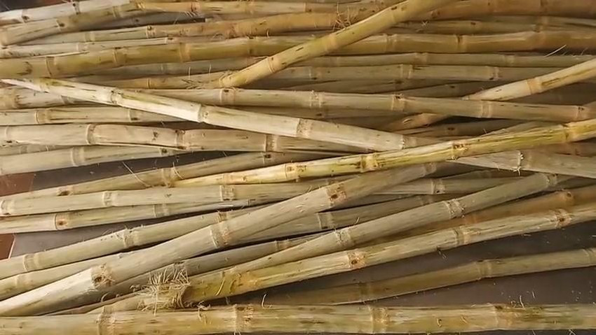 Nước mía 5.000 đồng/ly 'tuyệt chủng' thời bão giá ảnh 2