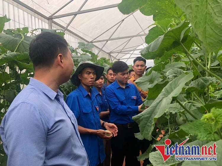 Hơn 100 Đoàn viên ở Hà Giang học cách kinh doanh số để khởi nghiệp hiệu quả