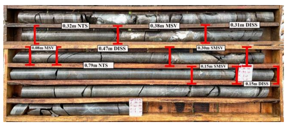 Kho báu quý ở Việt Nam: Công ty Úc thán phục tiềm năng khổng lồ sau lần thăm dò mới nhất - Ảnh 5.