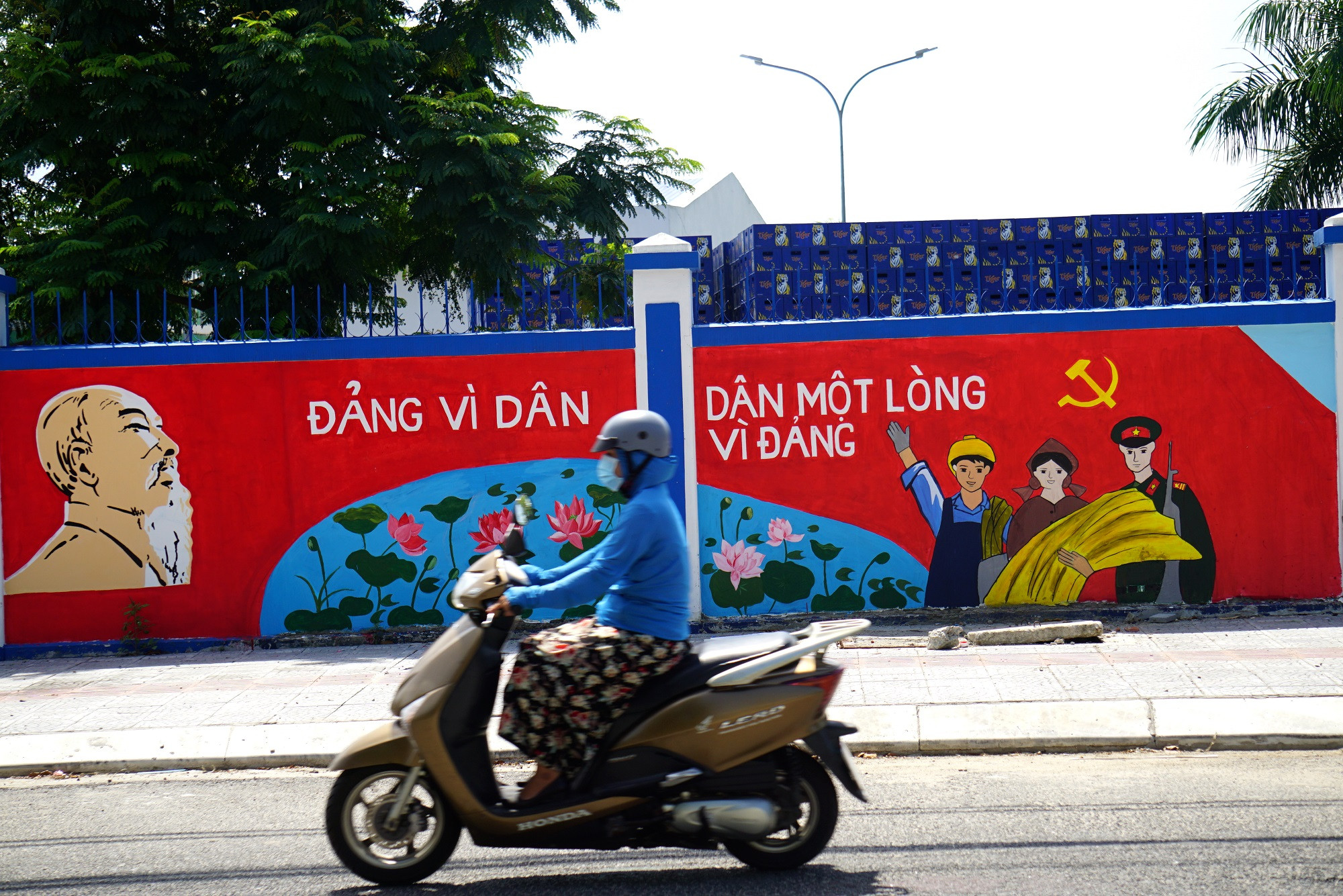 sinh vien da nang ve tuong 4 885